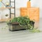Gardenised Outdoor and Indoor Rectangle Trough Plastic Planter Box, Vegetables or Flower Planting Pot QI004121.L - alternate 8